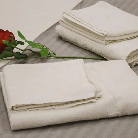 Brasil Excellent Location 公寓 波尔图