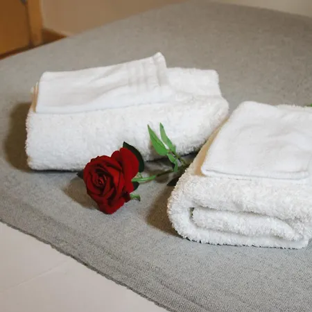 Brasil Excellent Location 公寓 波尔图